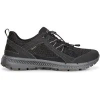 Ecco Lage schoen 'Terracruise II' zwart