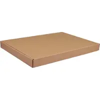 Klika - Brievenbusdoos | A4+ | golfkarton | 345x255x27mm | met klep | bruin | 50 stuks