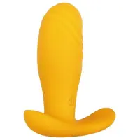 Evolved Novelties - Creamsicle - Oranje
