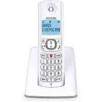 Alcatel F530SG Draadloze Telefoon - Grijs/Wit