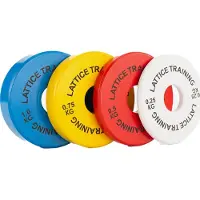 Lattice Training - Fractional Weight Plates multi coloured