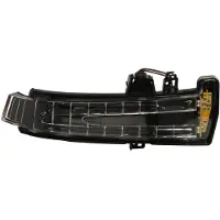 BLIC Knipperlicht 5403-02-0809106P, rechts