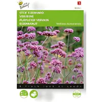 Buzzy - Zaden verbena stijf ijzerhard 0.4 gram