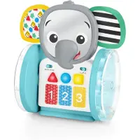 Baby einstein Crawl- und Motorikspielzeug - Chase & Tap Earl - - One Size - Motorikspielzeug