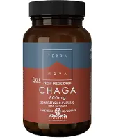 Terranova Chaga 500mg (50 capsules)