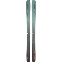 Elan - Ski's - Ripstick 88 2026 voor Unisex van Hout - Maat 189 cm - Grijs