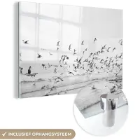 MuchoWow Glasschilderij 120x80 cm - Schilderij acrylglas - Zee - Vogels - Natuur - Zeemeeuwen - Foto op glas - Muurdecoratie woonkamer - Wanddecoratie slaapkamer - Schilderijen