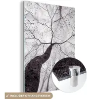 MuchoWow Glasschilderij 120x160 cm - Schilderij acrylglas - Boom - Takken - Bladeren - Mist - Foto op glas - Muurdecoratie woonkamer - Wanddecoratie slaapkamer - Schilderijen