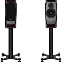 Dynaudio Confidence 20 monitor speaker Ruby wood