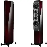 Dynaudio Confidence 60 vloerstaande speaker Ruby wood