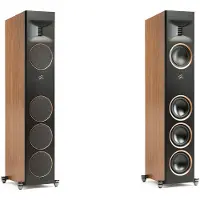Martin Logan MartinLogan Motion XT F100 vloerstaande speaker walnoot