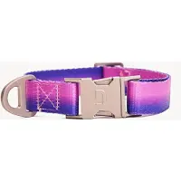 DOGGUO Gradient Collar Paars&Pink - Hondenhalsband - Grote Honden