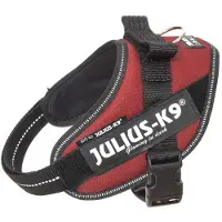 JULIUS K-9 IDC Powertuig Bordeaux - Maat 4