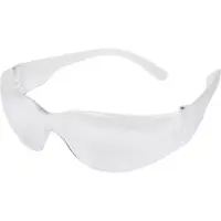 M-Safe Veiligheidsbril Caldera Plastic, polycarbonaat Universal Transparant