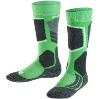 Falke Sportsokken donkergrijs / lichtgroen / zwart / wit