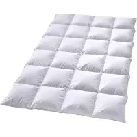 Overige merken Dik Hollands Donzen 4-seizoenen Dekbed -2-persoons (200x220 cm)