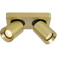Artdelight Richtbare Opbouwspot Megano Dubbel Goud