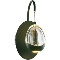 Highlight Wandlamp Clear Egg zwart met helder glas
