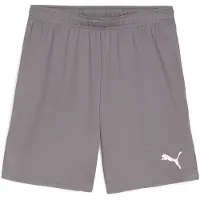 Puma Voetbalshorts teamGOAL - Grijs/Wit