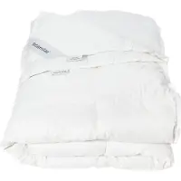 Dreamstar Dekbed Xperience 90% eend 240x220 4-s