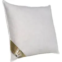 Ten Cate 3-Kamer Ganzendonzen Hoofdkussen 60x70 cm
