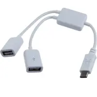 Dolphix USB-C hub met 2 USB-A poorten - busgevoed - USB2.0 / wit - 0,15 meter