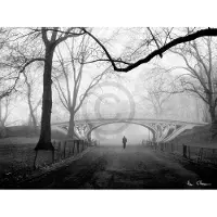 PGM Kunstdruk Henri Silberman - Gothic Bridge, Central Park NYC 80x60cm