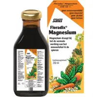 Salus Floradix magnesium (250ml)