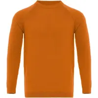 Antioch Trui oranje