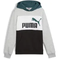Puma Ess Block Hoodie
