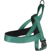 Flamingo Abbi Noors - Harnas Honden - Noors Harnas Abbi Groen L 55-70cm 25mm - 1st - 190725 - 1st