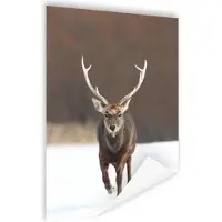 MuchoWow Rennend hert fotoafdruk (Wanddecoratie) - Foto print op Poster 75x150 cm