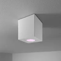 HOFTRONIC™ Gibbon Smart LED opbouw plafondspot - Vierkant - IP65 waterdicht - RGBWW Smart GU10 - WiFi & Bluetooth - Plafondlamp geschikt voor badkamer - Wit