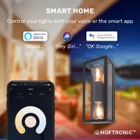 HOFTRONIC™ Alma smart LED wandlamp - 1800K-3000K Warm wit - Wifi & Bluetooth - 2x ST64 lichtbron - 14 Watt - 1612 lumen - Up & Down light - Muurlamp - Muurverlic