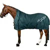 Imperial Riding Deken Irhsuper-dry 300gr Groen - 115/165