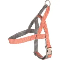 Flamingo Elly Noors - Harnas Honden - Noors Harnas Elly Zalmroze S 43-55cm 20mm - 1st - 132330 - 1st