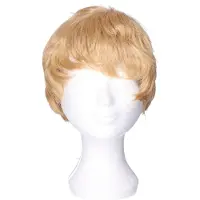 Rubies Verkleedpruik voor heren - blond - Seventies/popster/sixties/surfboy - Carnaval - kort haar