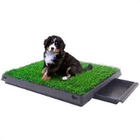 Buxibo Hondentoilet Kunstgras met Bak Indoor Dierentoilet Uitneembare Opvangbak