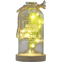 Peha stolp Giving Nature A Home led 13 x 25 cm glas naturel