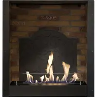 Xaralyn Bio-ethanol haard - Inbouwunit medaillon - 3 KW verwarming - makkelijk inbouwen - veilig open vuur - keramische bio-ethanol brander