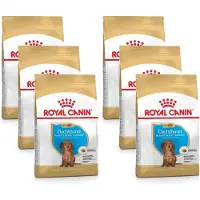 Royal Canin Dachshund - Puppy-Hondenvoer - 6 x 1.5 kg