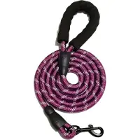 Universeel Huisdier Reflecterende Riem Nylon Ronde Riem Explosieveilige Ponsriem Hond Loopt Rond Riem Zonder Wurging
