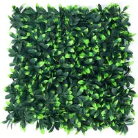 Buxibo Kunsthaag Set - 4 x 50x50 cm - Groene Wand - Kunstklimop - Namaak Plant - Balkonscherm - Kunstplanten Voor Buiten en Binnen - Evergreen