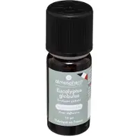 Atmosphera Geurolie eucalyptus 10 ml - Smudgen - Huisparfum navulling - Aromatische Etherische olie