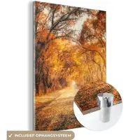 MuchoWow Glasschilderij 120x160 cm - Schilderij acrylglas - Bos - Herfst - Bomen - Bospad - Natuur - Foto op glas - Muurdecoratie woonkamer - Wanddecoratie slaapkamer - Schilderijen