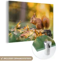 MuchoWow Glasschilderij 150x100 cm - Schilderij acrylglas - Eekhoorn - Herfst - Bosdieren - Herfstbladeren - Bos - Foto op glas - Muurdecoratie woonkamer - Wanddecoratie slaapkamer - Schilderijen