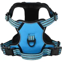 vidaXL Hondentuigje met riem en halsband verstelbaar L blauw
