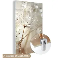MuchoWow Glasschilderij 20x30 cm - Schilderij acrylglas - Natuur - Bloemen - Druppels - Regen - Foto op glas - Muurdecoratie woonkamer - Wanddecoratie slaapkamer - Schilderijen
