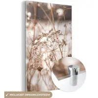 MuchoWow Glasschilderij 120x180 cm - Schilderij acrylglas - Droogbloemen - Wit - Planten - Foto op glas - Muurdecoratie woonkamer - Wanddecoratie slaapkamer - Schilderijen