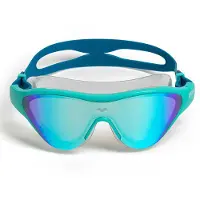 Arena Bril 'THE ONE MASK MIRROR' gemengde kleuren